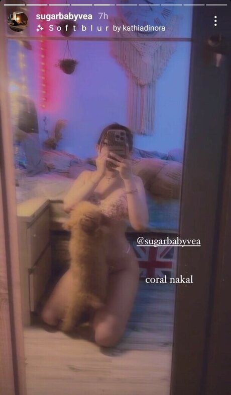 Olivea Hadid sexy pornostar galerien