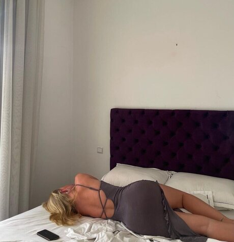 Majaaleonie freie hd fotos