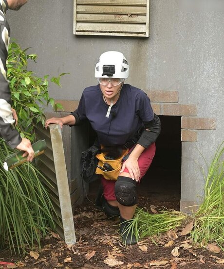 Ich bin ein Star Holt mich hier raus_ nackt sex galerie