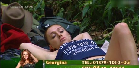 Ich bin ein Star Holt mich hier raus_ model perfekte bilder