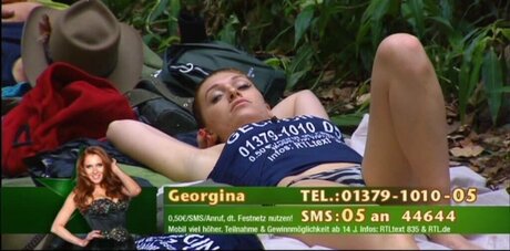 Ich bin ein Star Holt mich hier raus_ heiße pornostar galerien