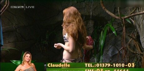 Ich bin ein Star Holt mich hier raus_ perfekte schöne galerie