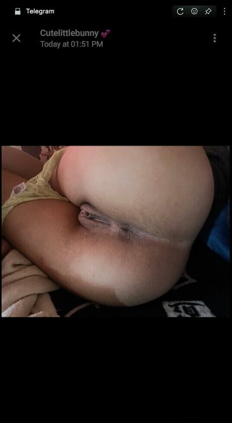 Cuttelittlebunny model erotische archiv