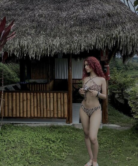 kahle muschi nur fans exklusive kunst bilder