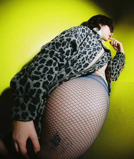 Ninonekw freie schöne bild