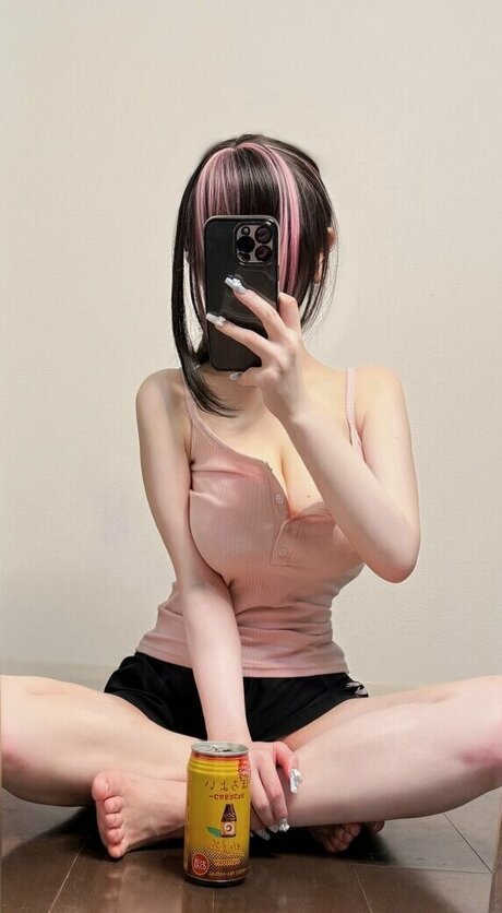 sukiyaki hd kunst bild