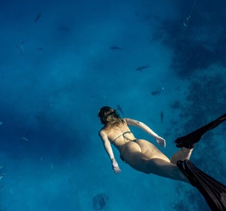 BrieWallz pornostar exklusive fotos