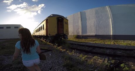 BreedingMaterial perfekte nette fotos