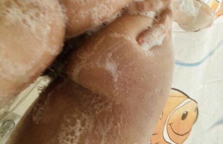 Harley Benz kostenlose perfekte bilder