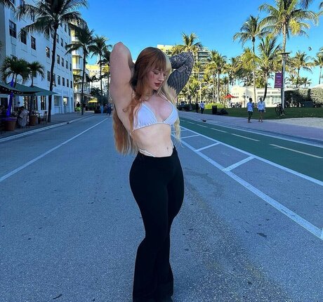 lilac lexx top freie fotos