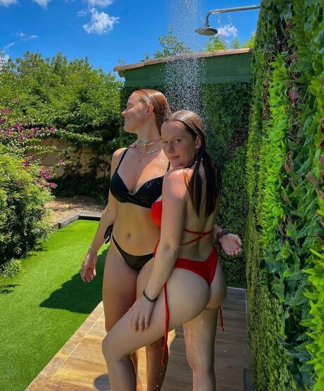 gringerliner top kostenlose fotos