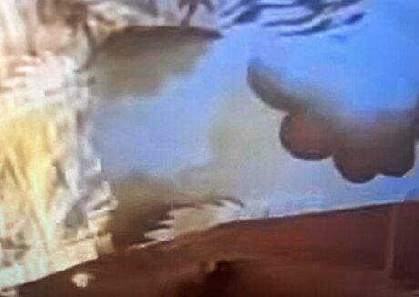 Sailing The Far Side perfekte nackte bild