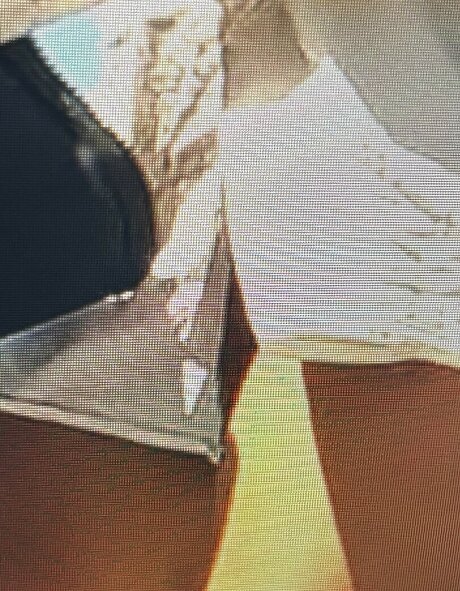 Sailing The Far Side xxx pornographische bild