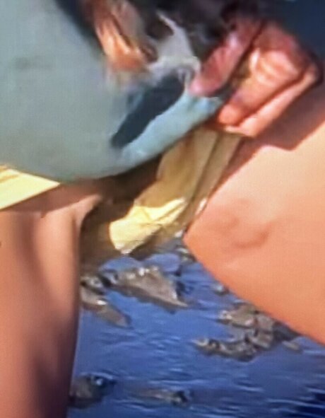 Sailing The Far Side pornostar erotische bild