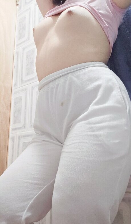 lullaby neko Profilbild