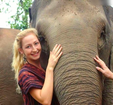 schokolove_ kunst hd foto