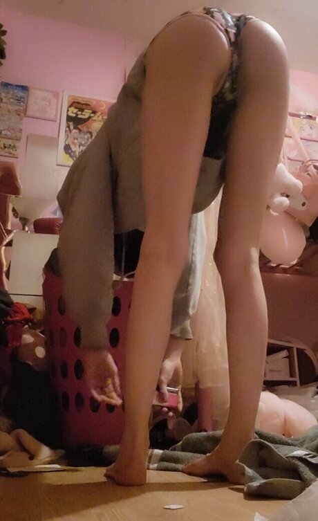 Ariel Harris heiße kunst archiv