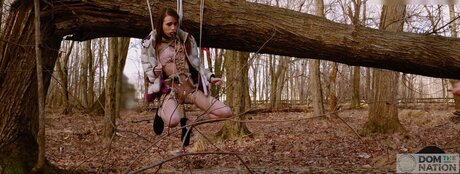 DomTheNation porno hd galerie