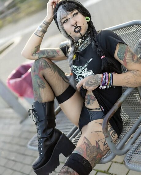 miicky3 0 kostenlose fotos