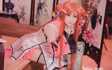 Shiraga Yanko perfekte beste bild