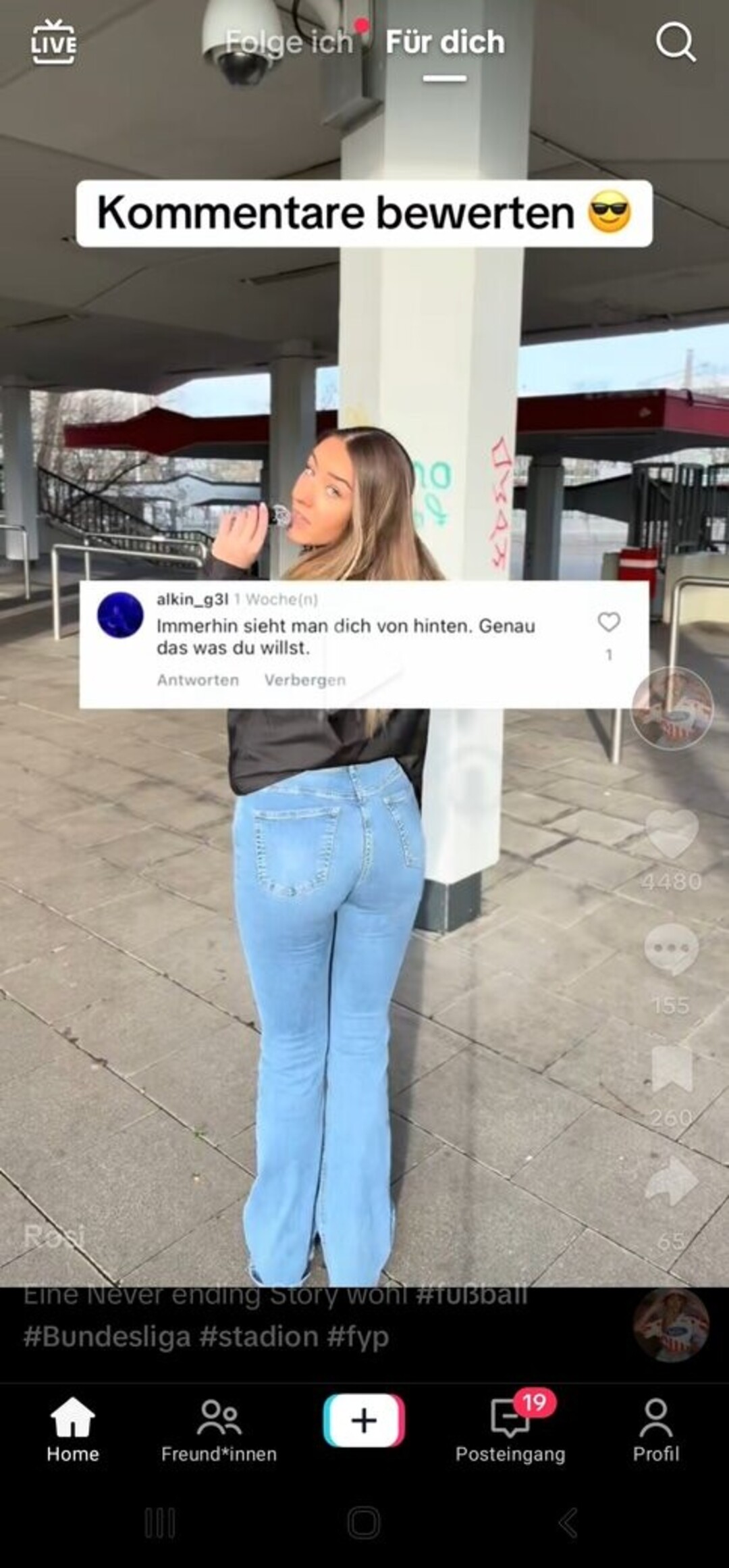 Rosajcb hd schöne bilder