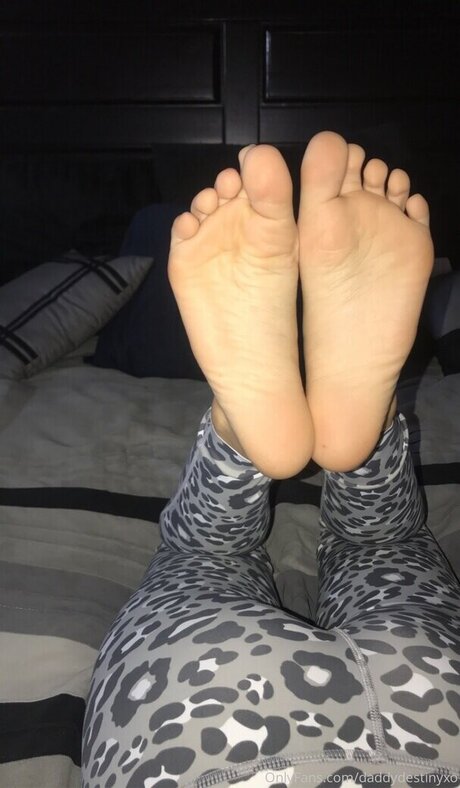 Daddydestinyxo model erotische bild