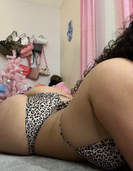 Jordy bih kostenlose nette galerien