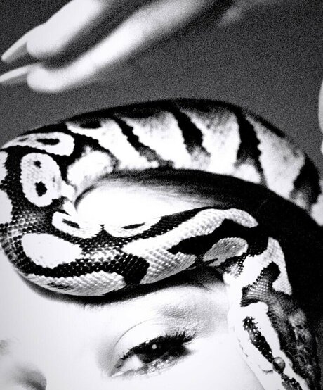 Biig Piig schöne pornographische archiv