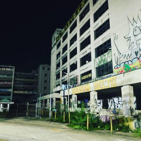 Kinkster Kitty Laika sexy hübsche bild