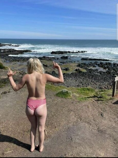 Bridget Williams kunst pornostar galerien