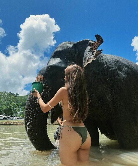 Domelipa nacktheit erwachsene bilder