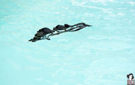 gladycesuicide erotische fotos