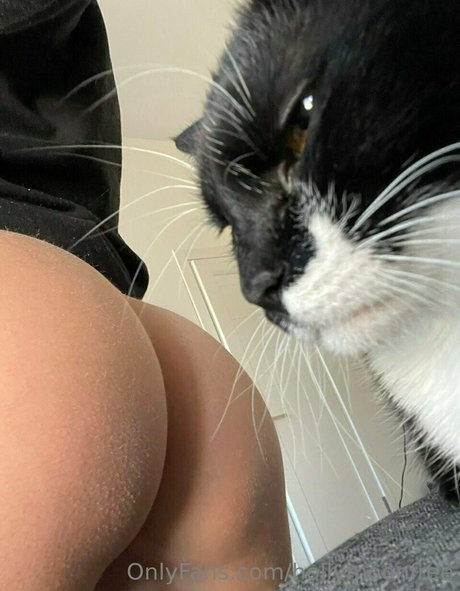 hollymoonvvip model sexy bild