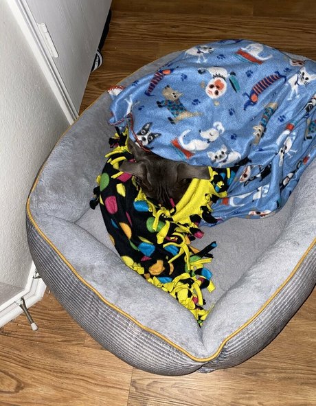 thckslutgoddess sexy erwachsene archiv