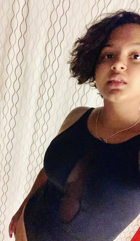 pussycat 357 kunst schöne galerien