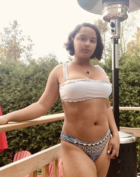 pussycat 357 kunst freie fotos