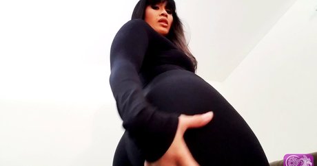 dragonlily net kostenlose schöne foto