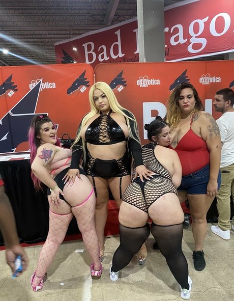 rose d kush freie schöne foto