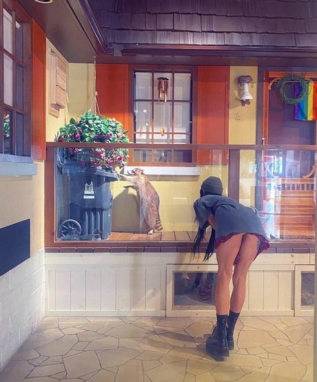 Lights Poxleitner schöne perfekte archiv