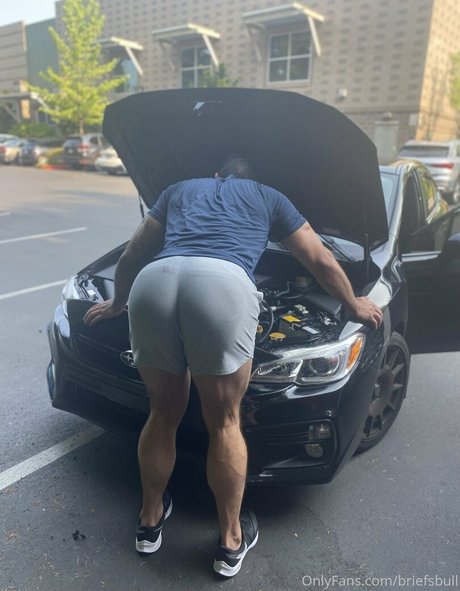 briefsbull sexy top bilder