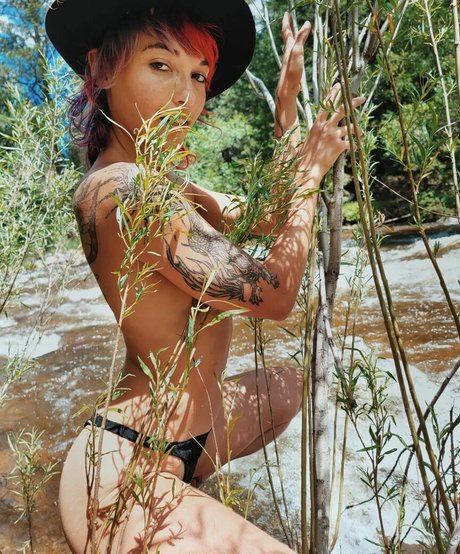 PixiePixelized schöne pornografische foto