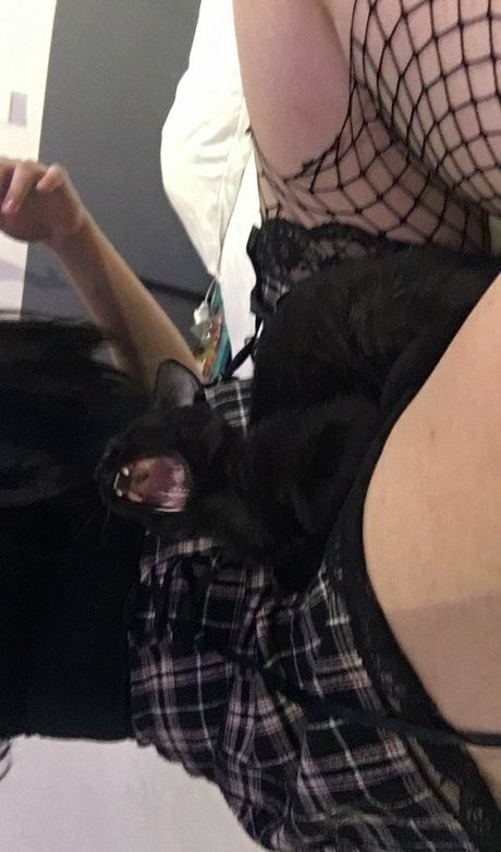 barbarabuer pornostar top galerie