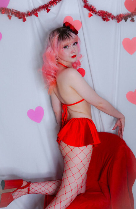 lawlietigerpony schöne nette foto