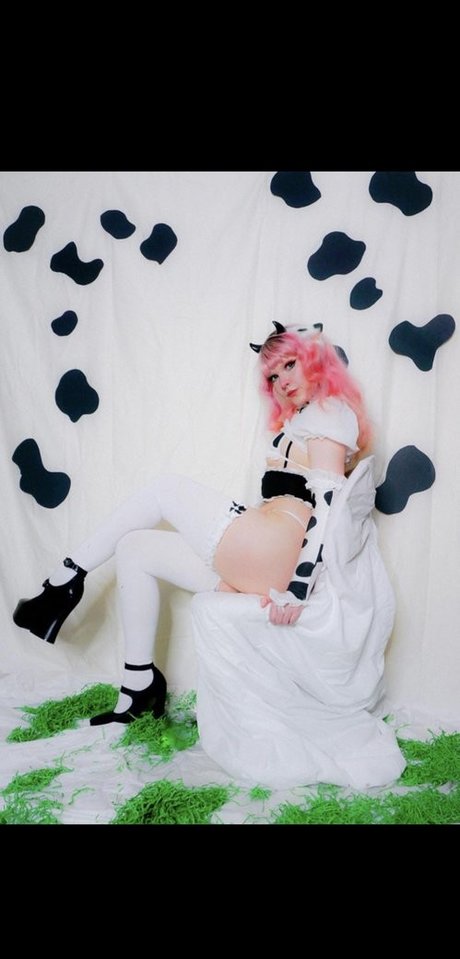 lawlietigerpony perfekte schöne foto