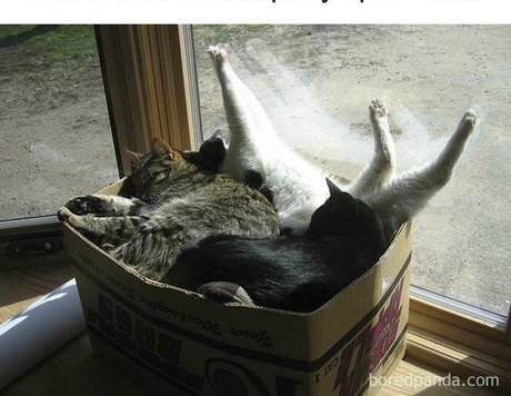 sweet kte top nackt galerien