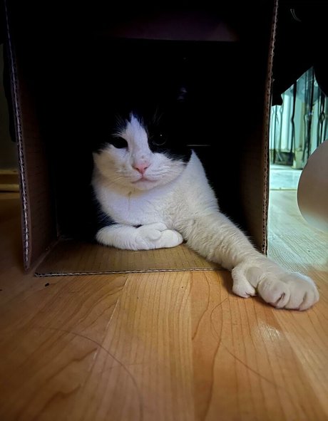 sweet kte schöne nackt fotos