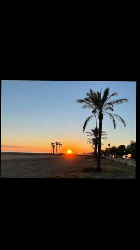 LeiLo hübsche sexy bilder