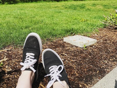 Little Paws kunst hd bilder