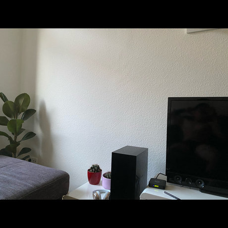 Alex Vega heiße pornografische foto