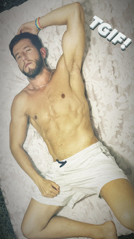 Liongold beste nette bilder